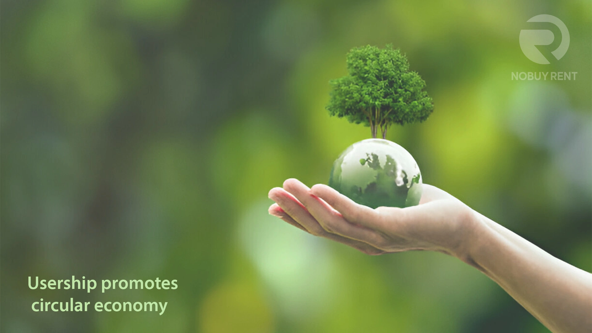 Hand holding the globe which have trees on it